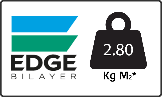 edge bilayer lead